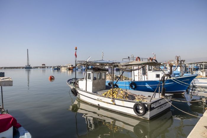 BALIKILAR ESKYEN ALARINI DENZE DEL GER DNME ATACAK