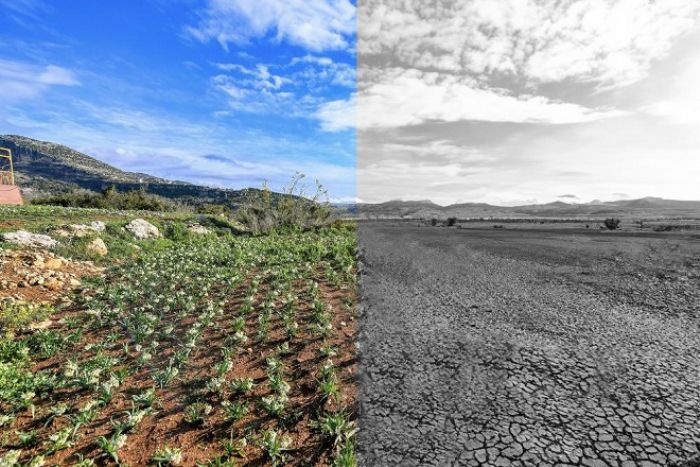 MERSN BYKEHR TRKYEYE RNEK OLMAYA DEVAM EDECEK